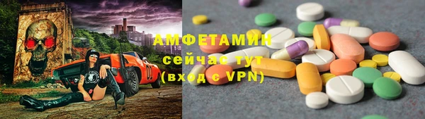 твердый Аркадак
