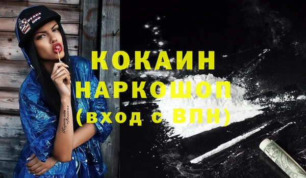 твердый Аркадак