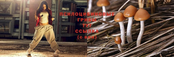 соль ск Армянск